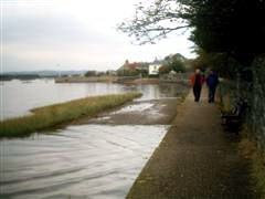 Topsham's Goat Walk